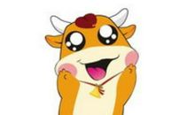 1973年属牛生人运势及运程男命女命 2020年47岁属牛佩戴什么