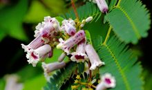 11月17号起运势上佳，吉星进门，四属相事业棒桃花旺，财富成倍涨