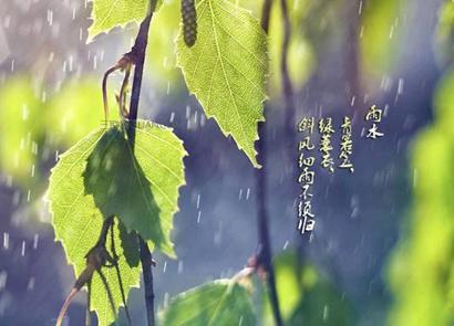 属龙雨水节气出生的人命运如何 属龙雨水出生命格解析(图文) 1