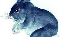 2020年2月初起这三大生肖开始走财运，一走就是30年