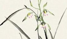 2020年5月1号出生的女孩起什么名字好，鼠宝宝取名宜用字