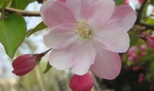 11月下旬开始运势节节高涨，好运难挡，事业突飞猛进的3大生肖