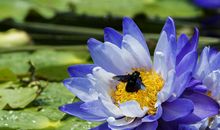 未来30天时运翻转，运势亨通，四属相正财横财一起发，钞票抱回家