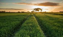 明天起，喜事如雨后春笋，财运上上吉，前有桃花运、后有大贵人，睡着都笑醒