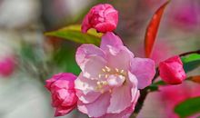 偏财也是财！1月偏财不断的三大生肖，出门有喜，黄金飘满屋！