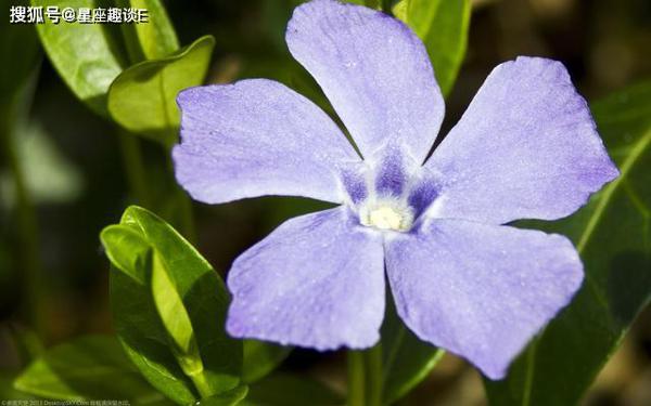 5.18-20星座运势：金牛三思而行，天秤保持冷静，水瓶家庭为重