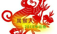 第一运程：2017年属猴人运程