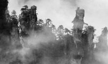 农历2019年十二月十五出生的男孩怎么取名，起名宜用字推荐