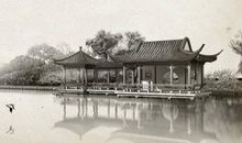 土猪好还是金鼠年好，金鼠年生的宝宝运势大旺