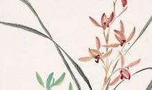 2020年1月1号元旦出生的双胞胎女孩起什么名字有气质