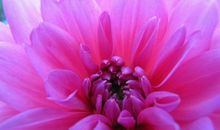 4月后，对你的爱，戒不掉，忘不了，3生肖爱得撕心裂肺，深情不负