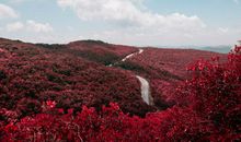 郑博士一周生肖运势（12.16-12.21）