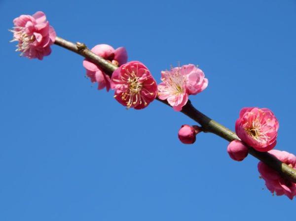 未来一年贵人不请自来，咸鱼翻身，财运飙升，富贵有余的3生肖 2