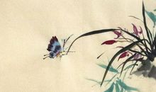 2020年3月1日二月初八生的男孩命运好吗，取什么名字吉祥