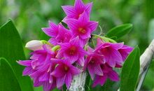 2021年阴历十月运气：指迷居士十二生肖月份运气算命咨询