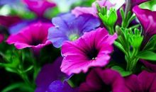 摩羯座的身上有哪些故事？