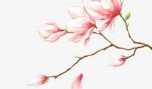 2020年3月4日二月十一生的男孩命运好吗，取什么名字福气好