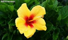 和白羊座搞对象有什么好处？