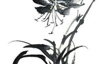 2020年3月6日二月十三生的男孩命运好吗，取什么名字佳