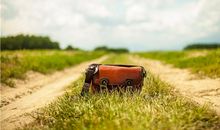 唐绮阳/唐立淇今日运势2020年2月14日