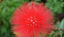 下周开始富贵挡不住，鸿运当头，一顺百顺，多财多福的3大生肖