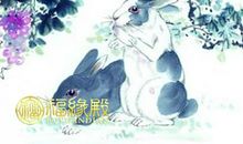 属兔财旺的出生时辰