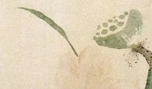 2020年5月12号出生的女孩起什么名字好，五行属什么