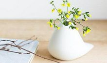 生日带这些，虽情路不顺，但会越来越有钱