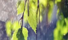 3月中下旬，财运“旗开得胜”的3大生肖，穷者不穷，富者更富！