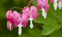 不愿意参加同学聚会，希望能更简单面对生活的三大星座