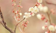 3月过半，这3大生肖穷操心的日子也过去了，有酒有肉有钞票！