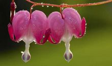 只要是为家人花钱，从不在乎多少的三大星座