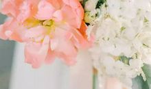 2020年农历10月,11月和12月生肖属虎和生肖属猴订婚吉日精选