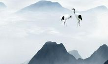 2020年秋分出生的鼠宝宝好不好，聪明能干财运不错，理财能力强