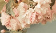 2020年农历八月,九月和十月生肖属兔和生肖属猴最佳订婚吉日