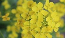 2020鼠年农历七月出生的男孩命运解析，出外逢贵，富贵荣华之命