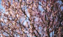 11月起接二连三好运来，正财财富齐进门，富得流油的3大生肖