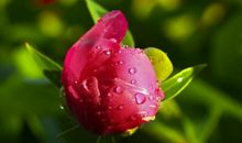 2020年2月，转运发财，会富贵满堂，春风得意的星座