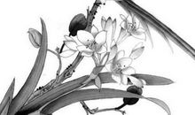 2020庚子鼠年3月11号出生的人性格命运解析，五行八字查询