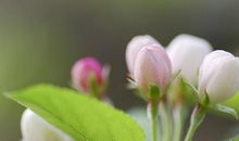 3月份财神进家门，财运最为旺盛的生肖！有你吗？