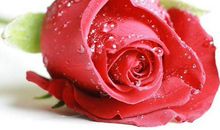 财运丰厚，财帛大赚，3生肖在明年喜结四方横财，富贵一整年