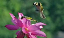 10号后，4生肖福禄双全，贵人相助，事业一飞冲天