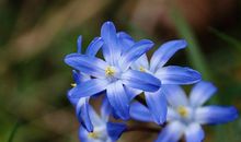 1999年生人之运程如何(图文)