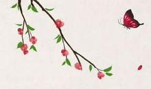 生辰八字取名：2020年2月16号的出生男孩起什么名字好