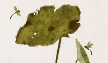 宝宝取名：2020年2月15号的出生男孩起名，宜用“佳”“皓”寓意美好出众