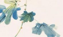 2020年5月15号出生的女孩起什么名字好，五行属什么