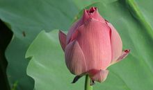 这四个星座，一旦生气，大发雷霆，拦也拦不住