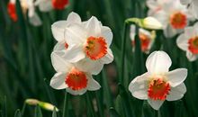 在5月下旬，好运相伴，信心十足，迎来巅峰的三大星座