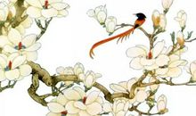 2020年壁上土命起名字带什么字好，宜用五行为土的字