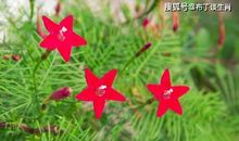 恭喜四生肖有好运光顾，11月12号开始横财不请自来，生活一片灿烂光明!